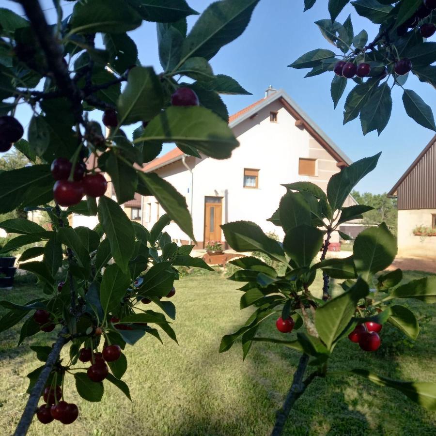 Kuca Za Odmor Boki Villa Gospić Kültér fotó