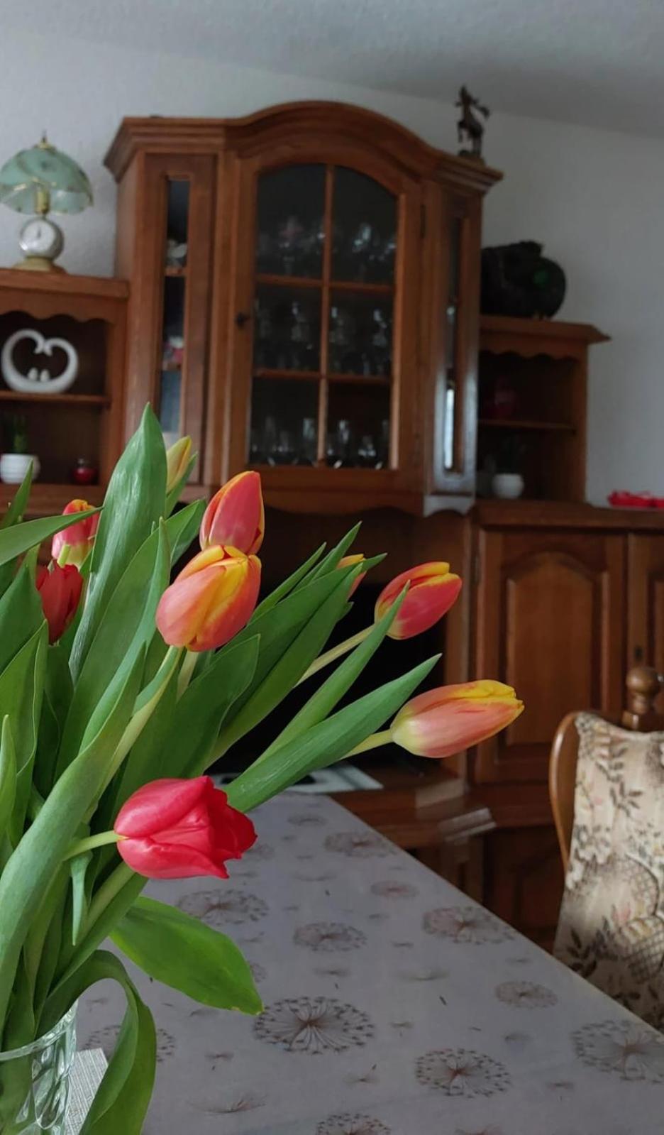Kuca Za Odmor Boki Villa Gospić Kültér fotó